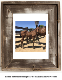 family horseback riding near me in Guaynabo, Puerto Rico